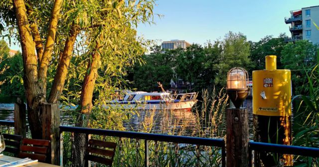 #misschoi #boatcats #boatcatsberlin #goldenhour #spreeriver #berlinspring